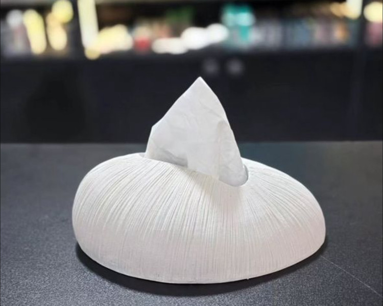 کاور دستمال کاغذی پرطرفدار گیتی